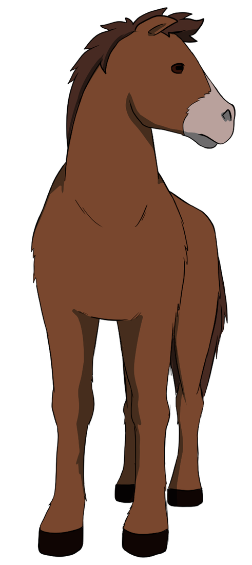 Salkha, el caballo, vista trasera
