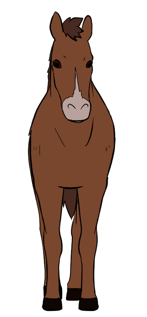 Turnaround de Salkha